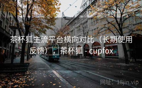茶杯狐主流平台横向对比（长期使用反馈），茶杯狐 - cupfox